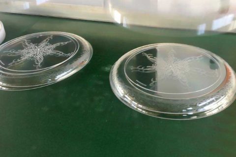Disposable Plates Produced by ChenHsong SPEED258 Injection Molding Machine